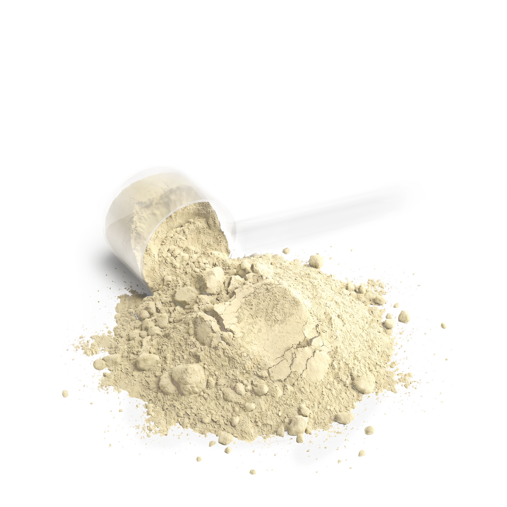 BUILD - Whey Protein Blend (Vanilla)